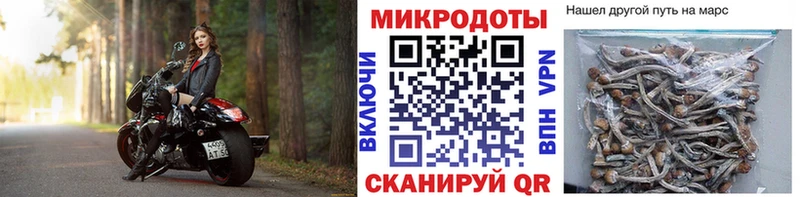 Псилоцибиновые грибы ЛСД  Купить закладки  Ижевск 